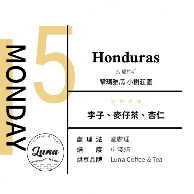 新春號-花果風華-星期五