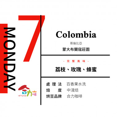 新春號-花果風華-星期日