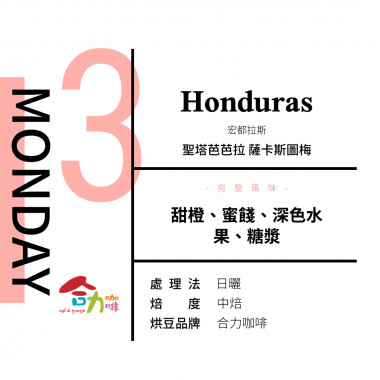 夏至號-日光輕吻-星期三