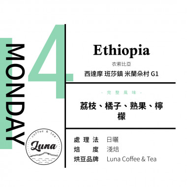 夏至號-日光輕吻-星期四