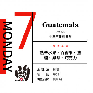 夏至號-日光輕吻-星期日