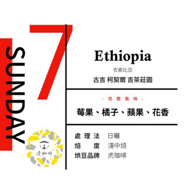 七逃號-七逃人生-星期日